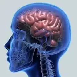 Chatbot em Portugal 2025