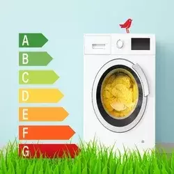 E-lar Lojas aderentes